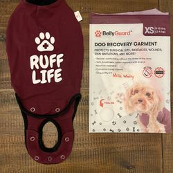 Dog Recovery Body Suit