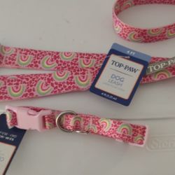 Collars With Leashes 
