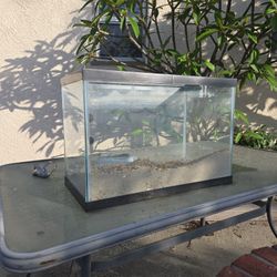 20 Gallon Tall Fish Tank