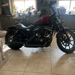 2017 Harley Davidson Sportster Iron