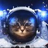 Space KItty