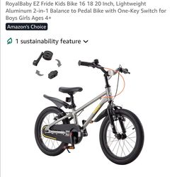 Royalbaby EZ Fride - 18"