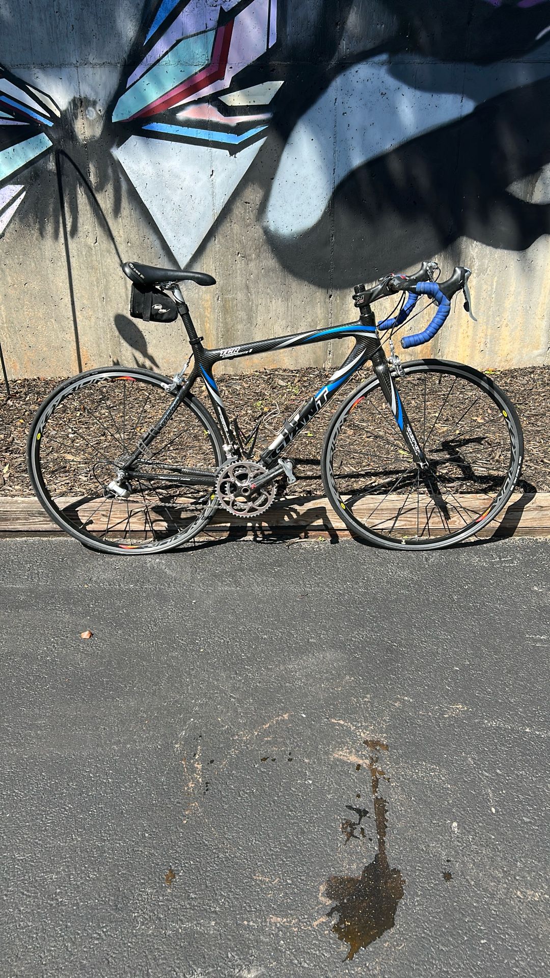 Giant TCR Road Bike