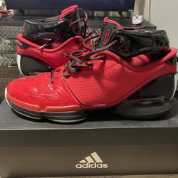 D ROSE 1 Brenda