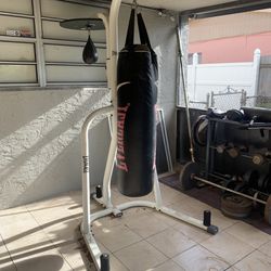 Punching Bag/Stand 