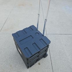 Organizer Cart With Wheels And Lid
