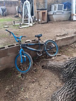 Kids/Teen bike