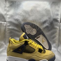 Air Jordan 4 lighting
