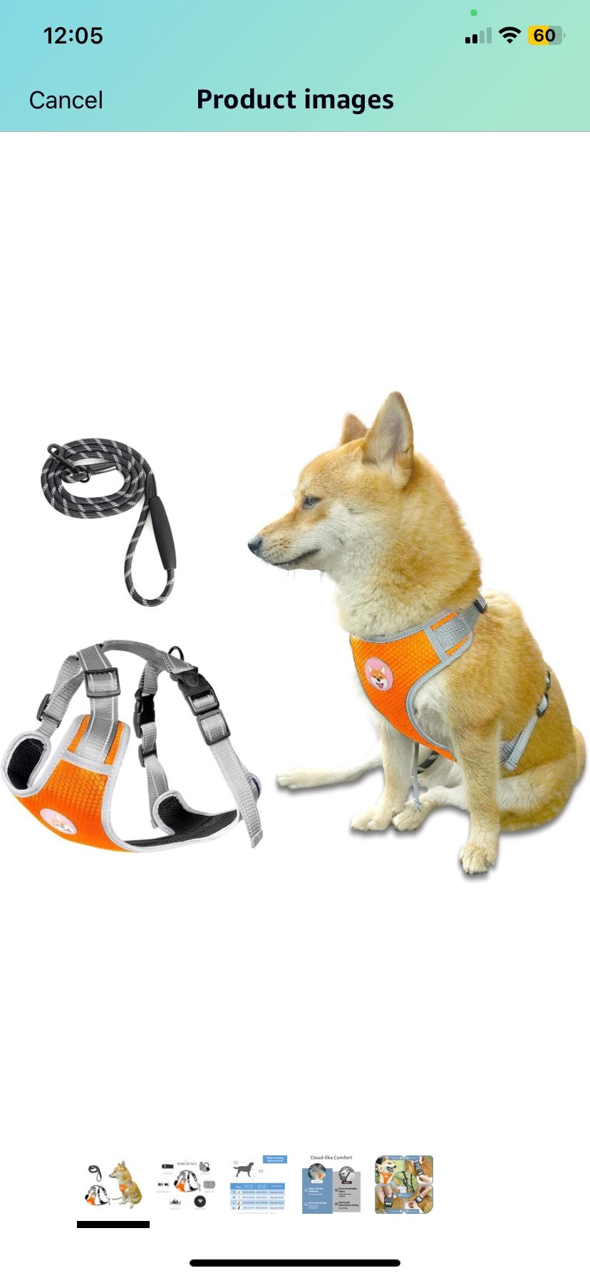 Dog Harness Best