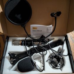 Zing You Microphone 