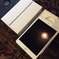 iPad Mini 5th Generation & OtterBox
