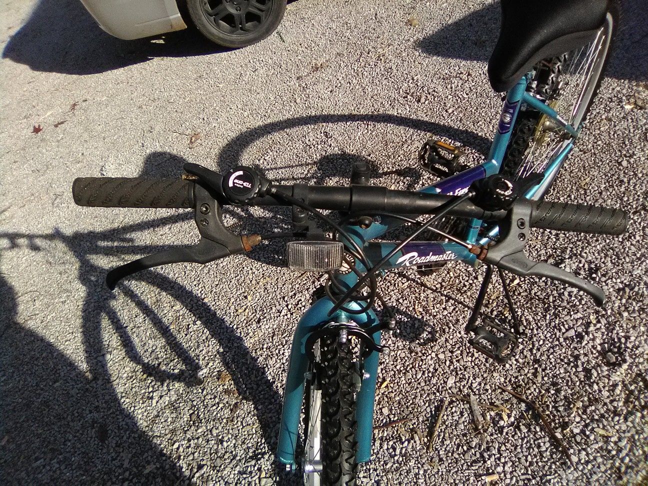 roadmaster mt fury 24 mountain bike