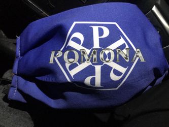 Pomona mask