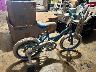 Frozen Bike 