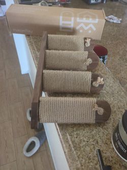 Cat Climbing Stairway