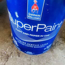 One Gal Ultra White Paint 