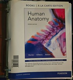 Human Anatomy 7th Edition Textbook Marieb