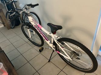 Mountain bike