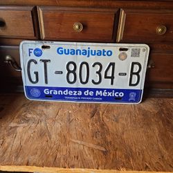 Guanajuato Mexico 🇲🇽 License Plate 