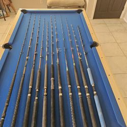 Saltwater Fishing Rods