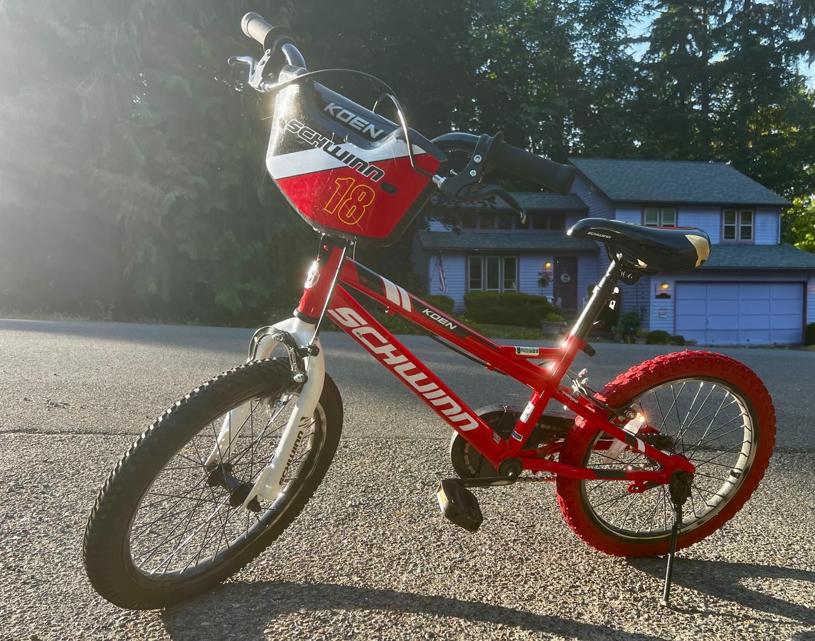 🚲 Schwinn Koen 18” Kids Bike – Custom Look + Kickstand + Training Wheels!