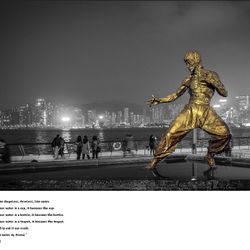 Bruce Lee Digital Print Image 