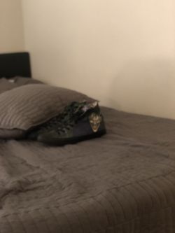 Chuck Taylor Converse joker shoes