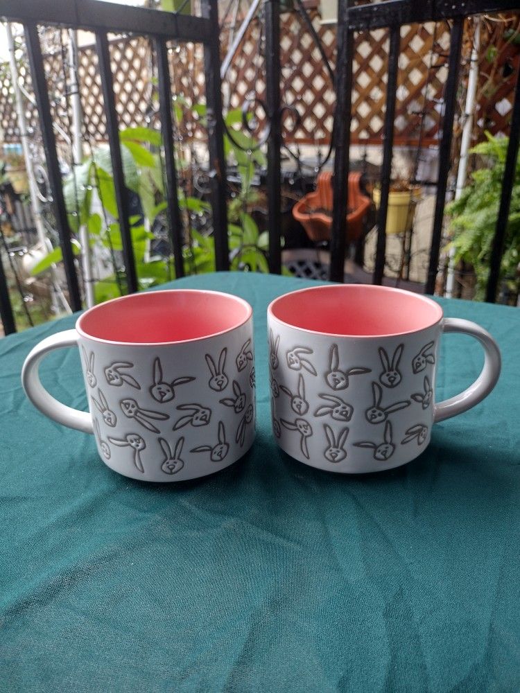 Set of 2 Ore’ Original Funny Bunny Pop of Color Embossed Bunny Heads Mug