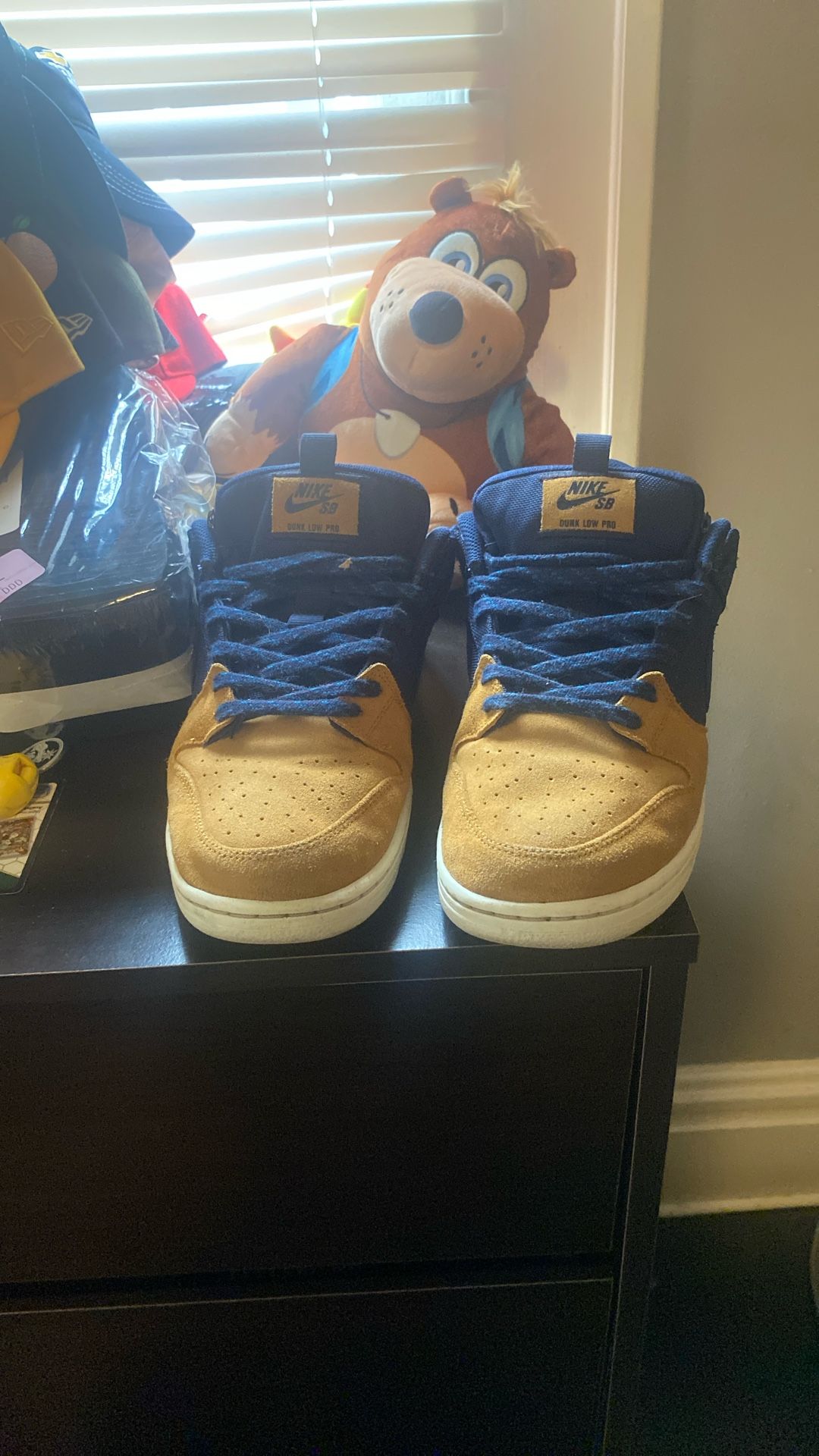 Nike SB Dunk Jansport Size 12