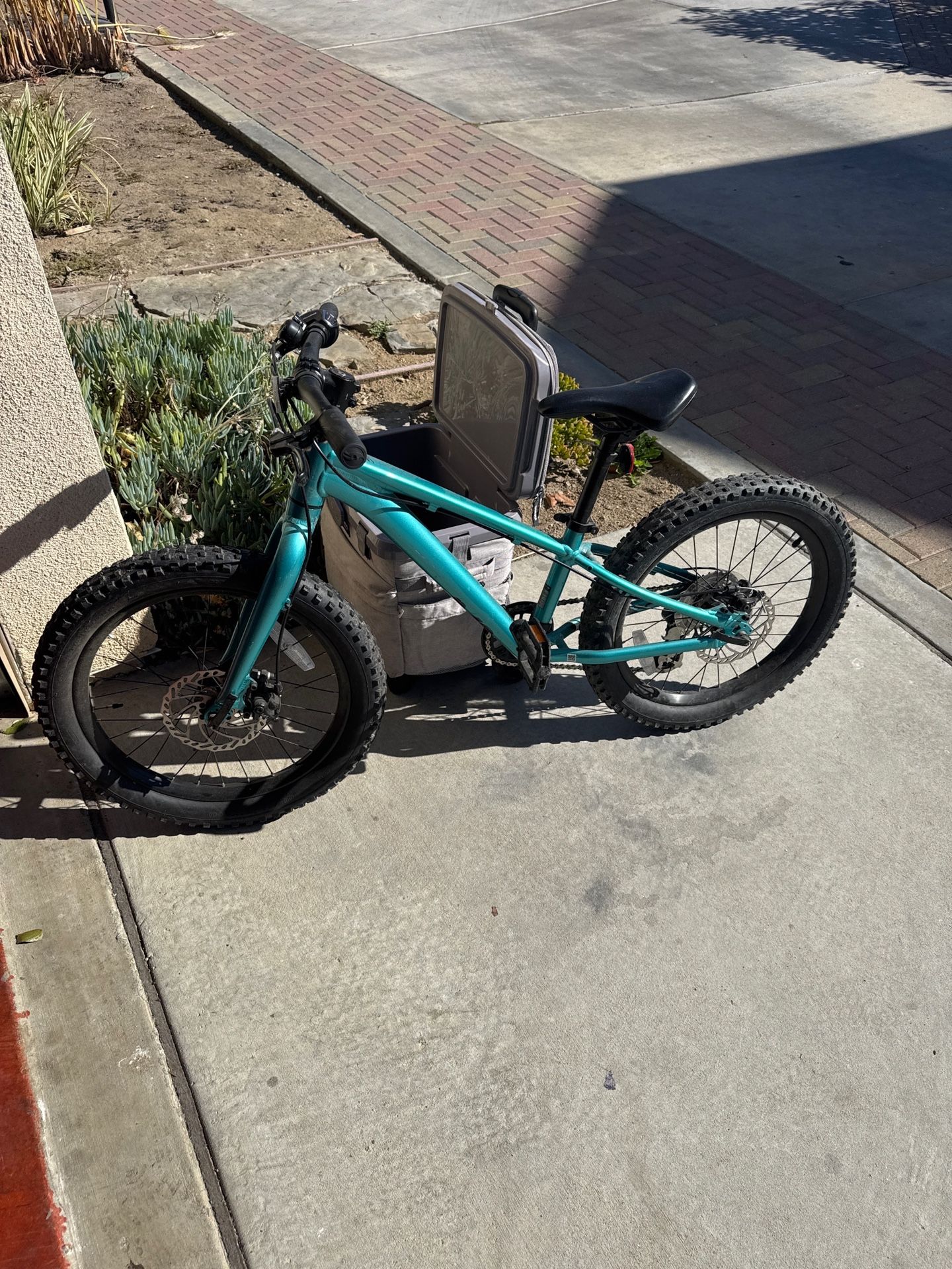 Youth Mountain Bike By Giant