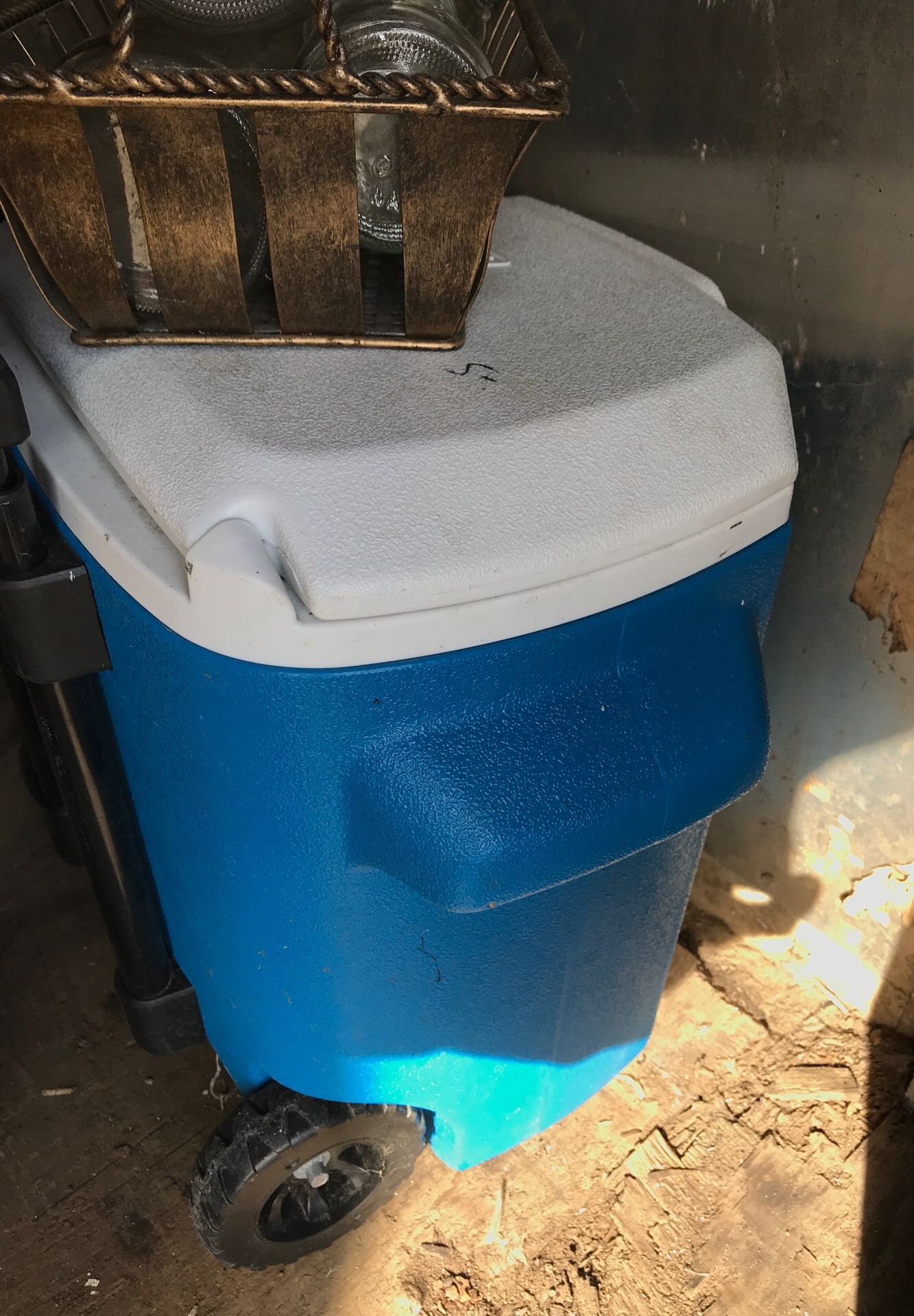 Coleman cooler