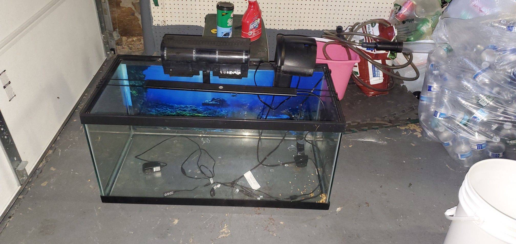 40 gallon aquarium