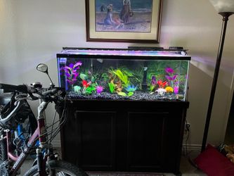 Aquarium 55gallon complete thick glass stand, filter, pumps deco and all!