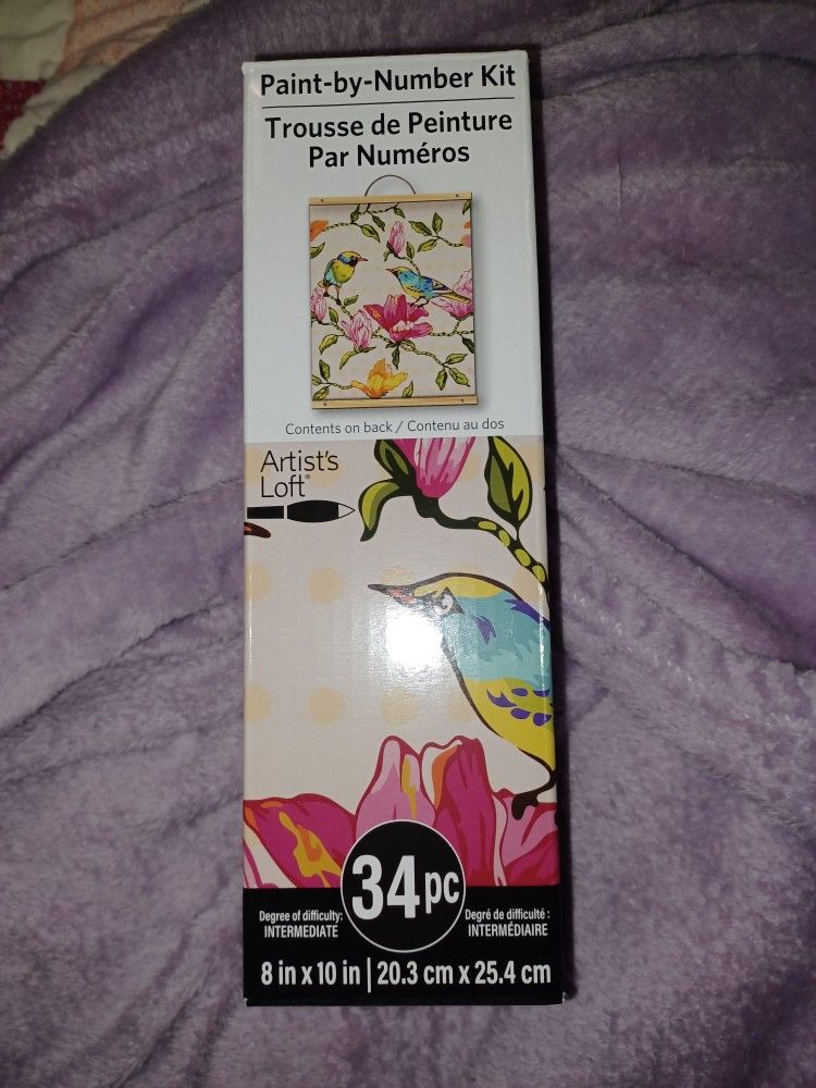 Paint By Number Kit
