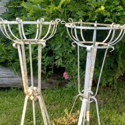 Pair Fern Stands