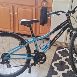 Specialized Mountain Bike