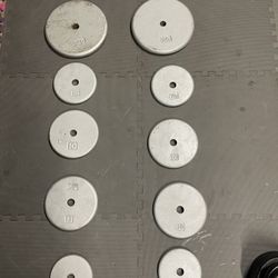 Weight Plates.                       80 Dollars