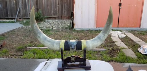 Bull Horn