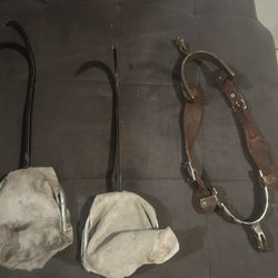 Horse Asentíais 