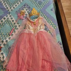 Princess Aurora Size 6x Costume