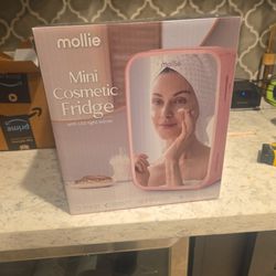 Mini Cosmetic Fridge