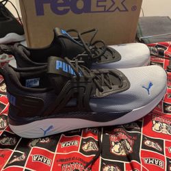 Puma Size 11