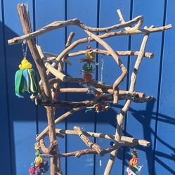 Funky N Artsy African Grey / Amazon Parrot Perch Tree… Breeder Direct Low Prices And AAA+!quality … Lasts For Years …. Yess We Deliver !!