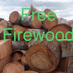 Free Firewood & Big Trees Cut & Trimm 