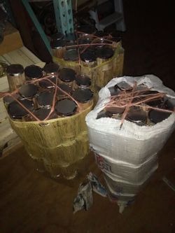 BIRD LOGS FOR PARAKEETS