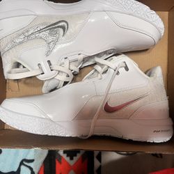 Nike Zoom LeBron NXXT Gen AMPD