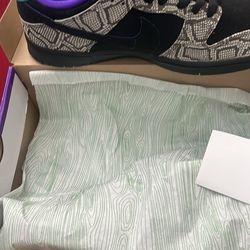 Dashawn Jordan sb dunks