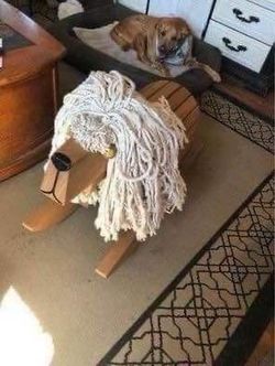 Wooden Rocking lion Toy