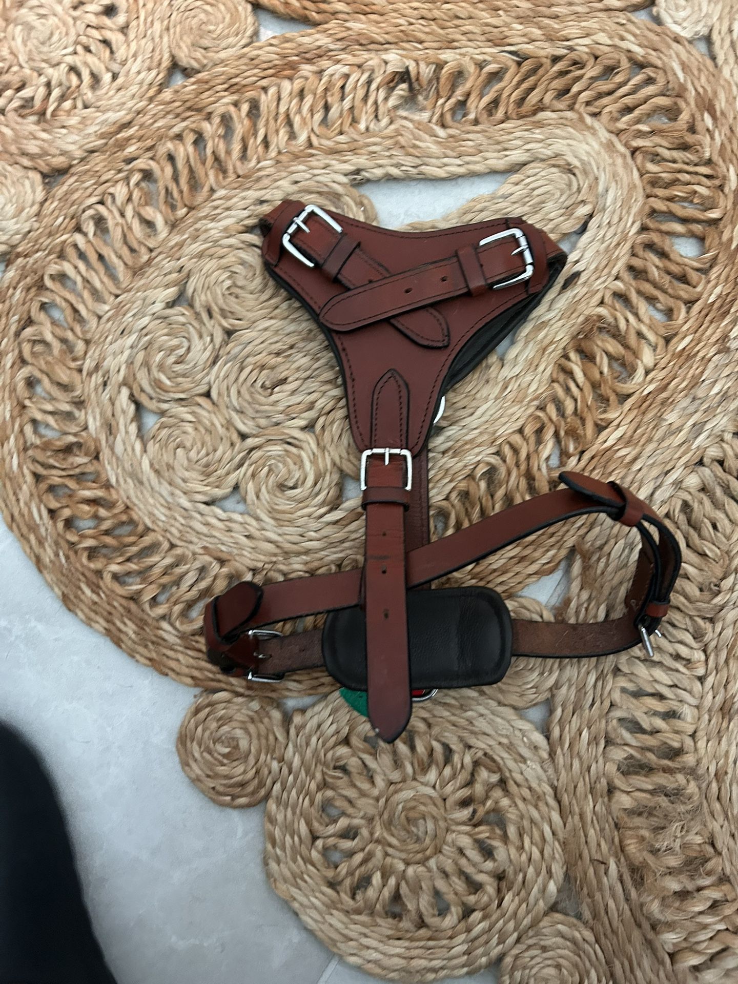 Dog (REAL) Leather Harness Thick Chest, Back & Shoulder Padded