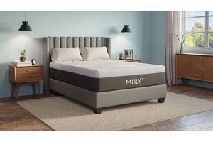 MLily Queen Mattress